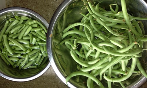 green beans 1