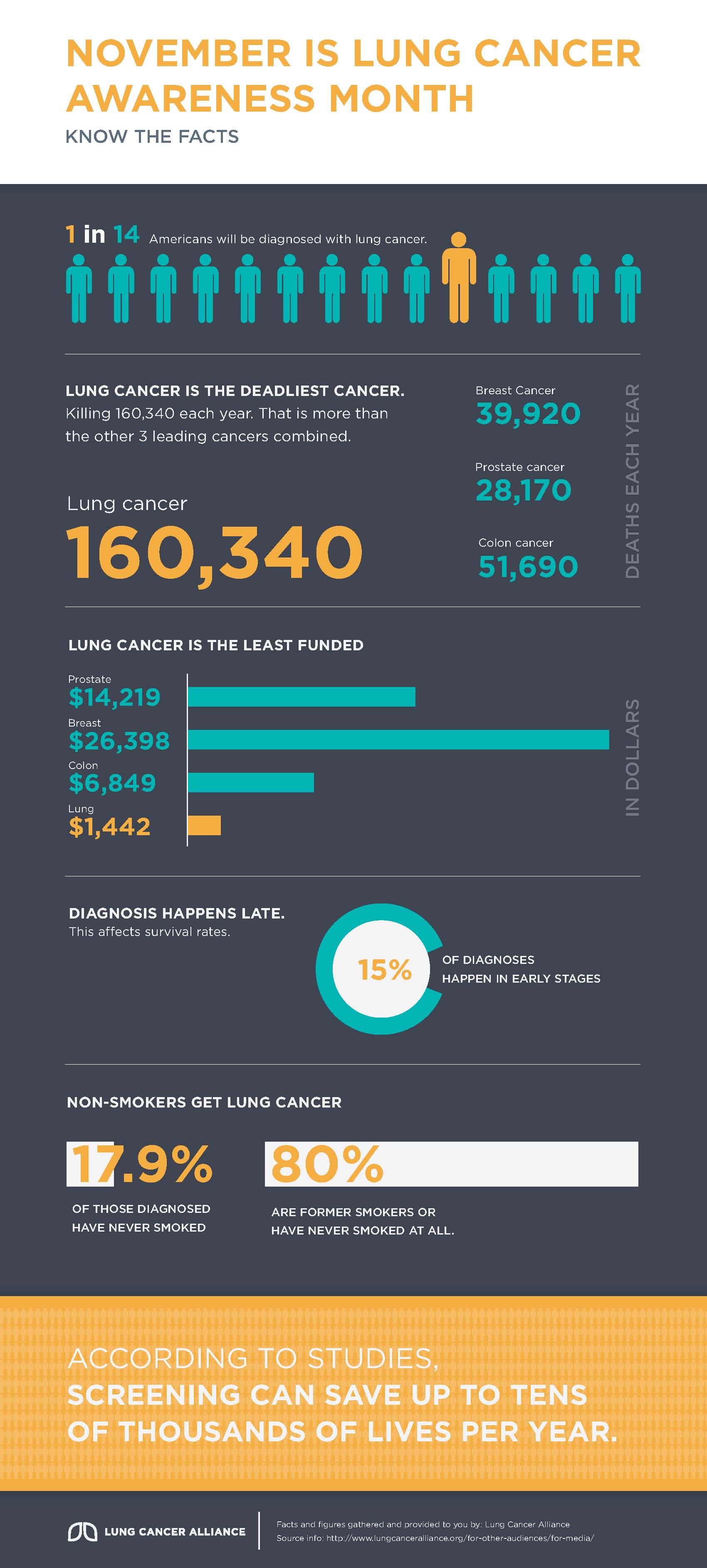 Lung Cancer Awareness Month Infographic