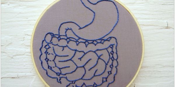 Image of the digestive system on needlepoint