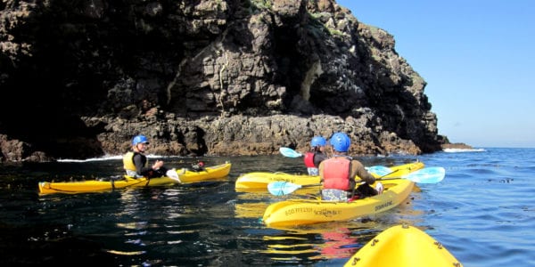 four people kayak near rocks