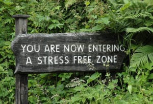 Stress-free