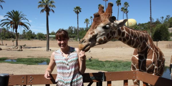 woman feeding giraffe