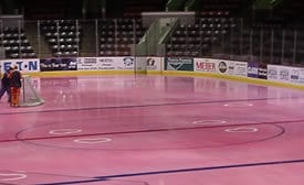 The ice painted pink for Valentine's Day at Wings Stadium.