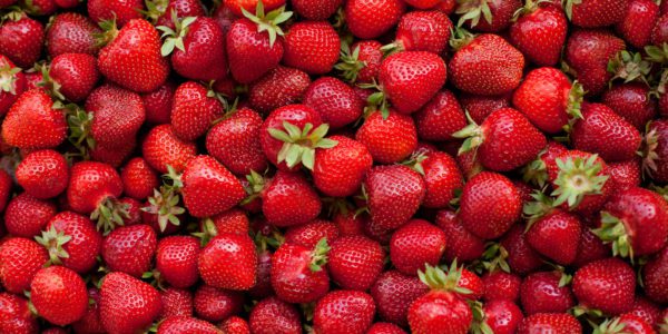 A bushel full of strawberries.