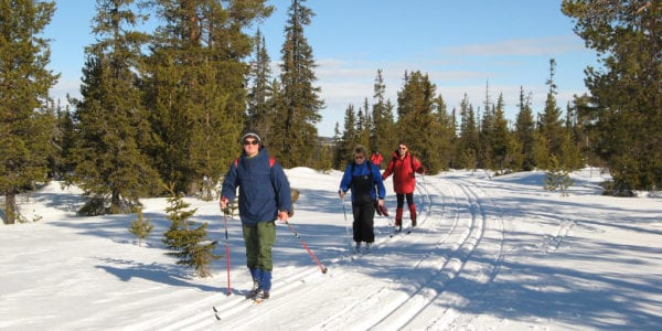 Michigan's cross country ski trails