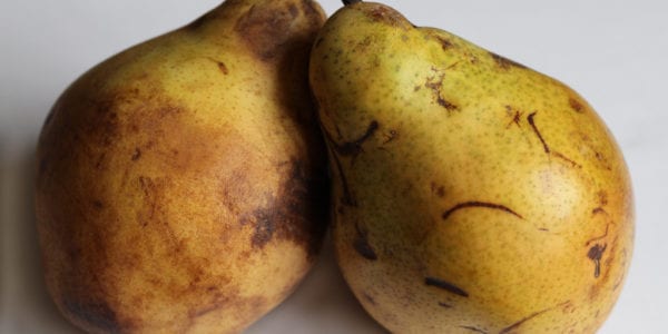 Give ugly fruits a chance