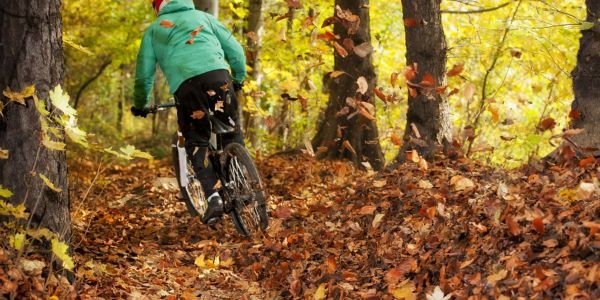 Mountain biker rides through fall leaves in a forest.