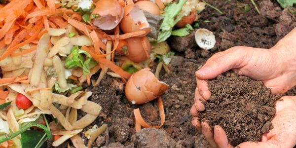 Hands holding composted earth next to food scraps.
