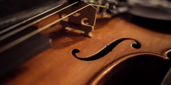 violin up close