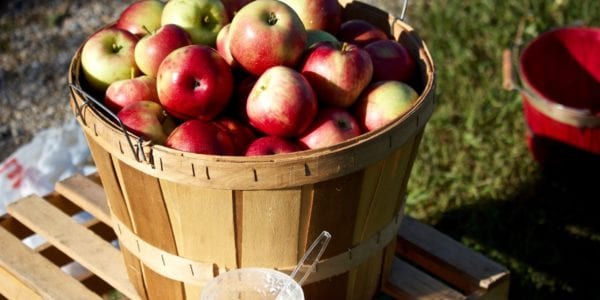 Bushel of apples on a crate