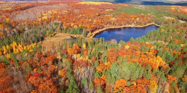 Amazing Autumn scenery, forests with lake, Fall colors, Aerial view.