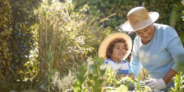 African descent grandmother and grandchild gardening in outdoor vegetable garden in spring or summer season. Cute little boy enjoys planting new flowers and vegetable plants.