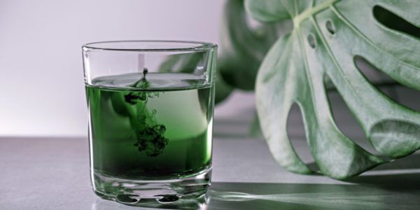 TikTok Trend Fact Check: Liquid Chlorophyll