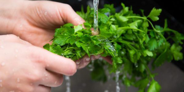 person washing parsley
