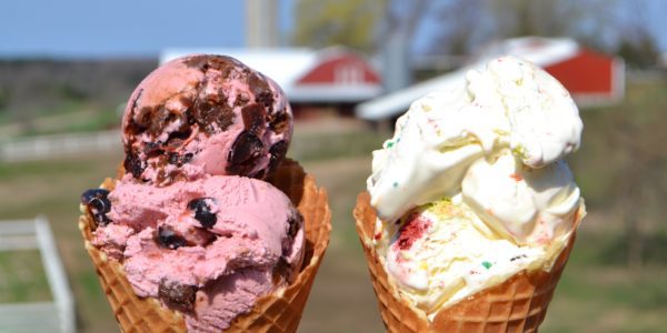 There are more than a few iconic ice cream spots that Michigan families flock to each summer. These shops have enjoyed sustained success for their quality and service. How many of these eight have you visited, and how many more would you like to check out?  